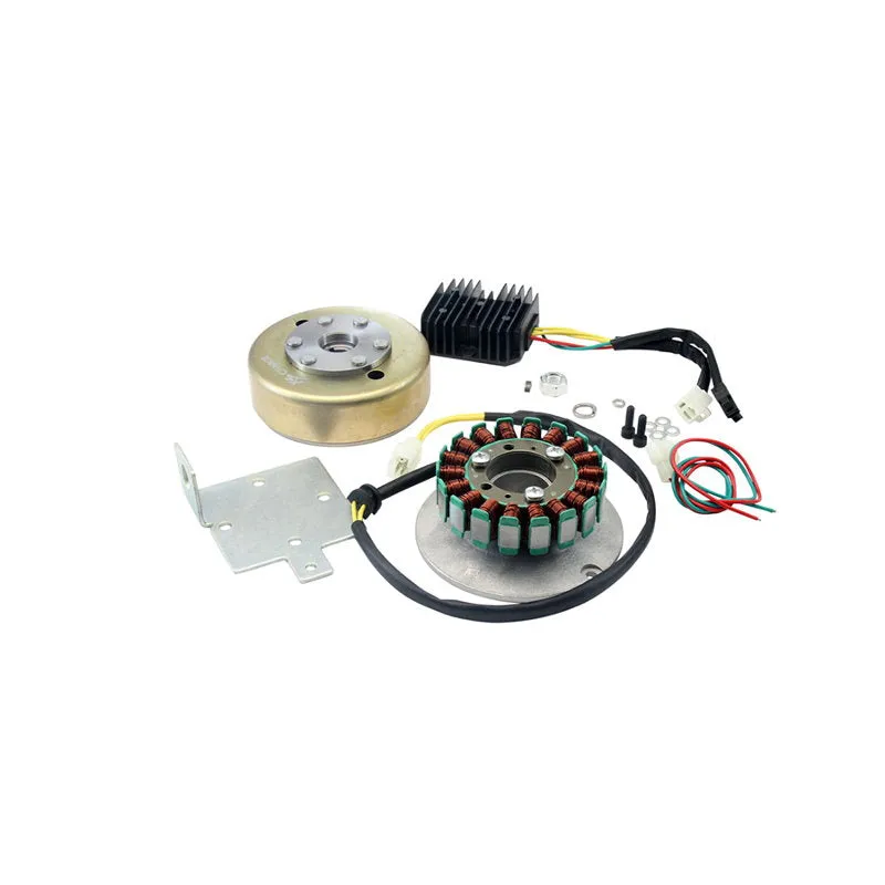XSCharge™ XS650 Permanent Magnet Alternator Kit PMA (Fits All Years)
